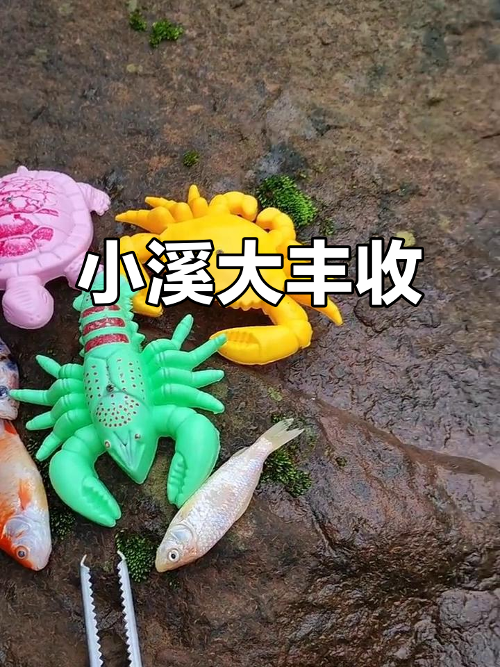 小溪抓鱼虾蟹,意外发现粉色卡通龟和黄金鲨螃蟹