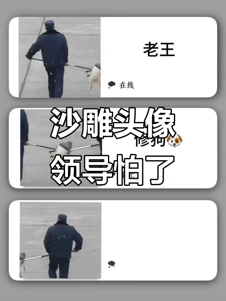 这头像太沙雕,领导肯定不敢委以重任