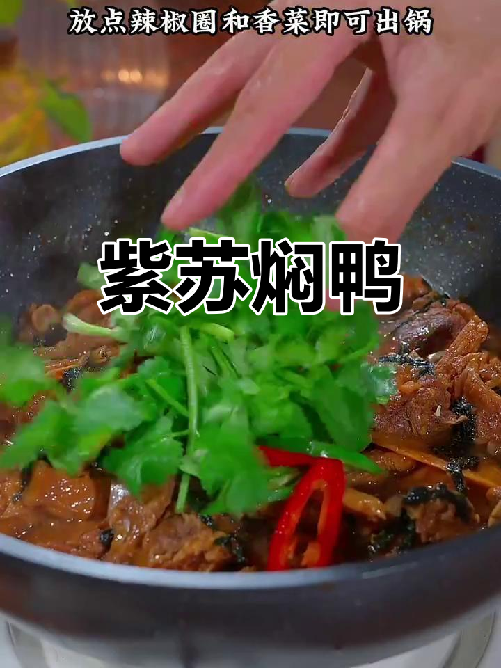 紫苏与鸭肉搭配,香气扑鼻,啤酒焖煮更下饭