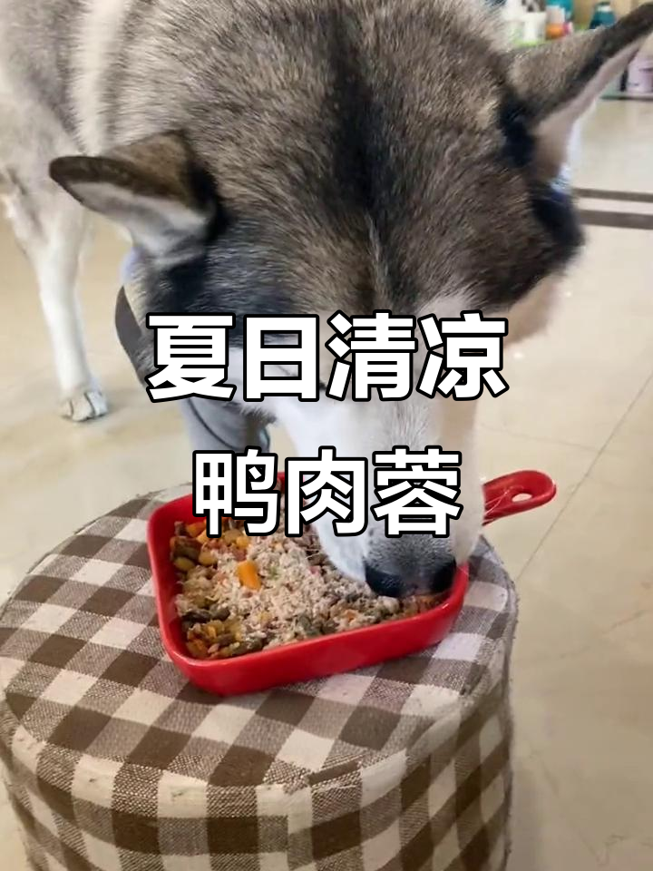 夏季挑食毛孩子必备!鸭肉蓉+高山菜,清热去火又美味