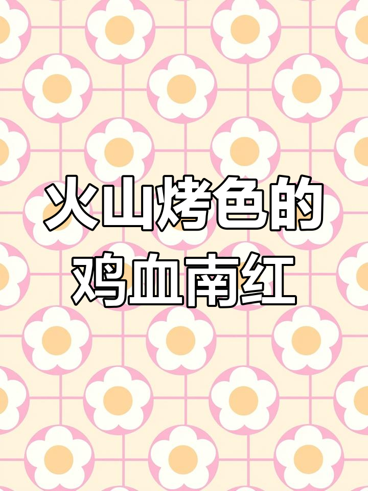 火山烤色南红原石,鸡血红罕见大块纯色