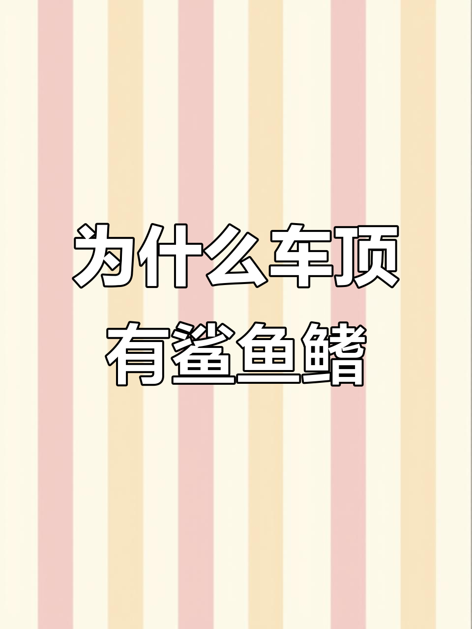 鲨鱼鳍到底有啥用?降低油耗又美观