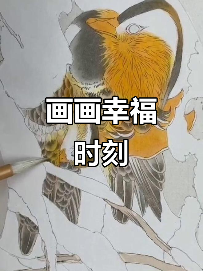 工笔画鸳鸯色彩技巧大揭秘,轻松画出美丽花鸟