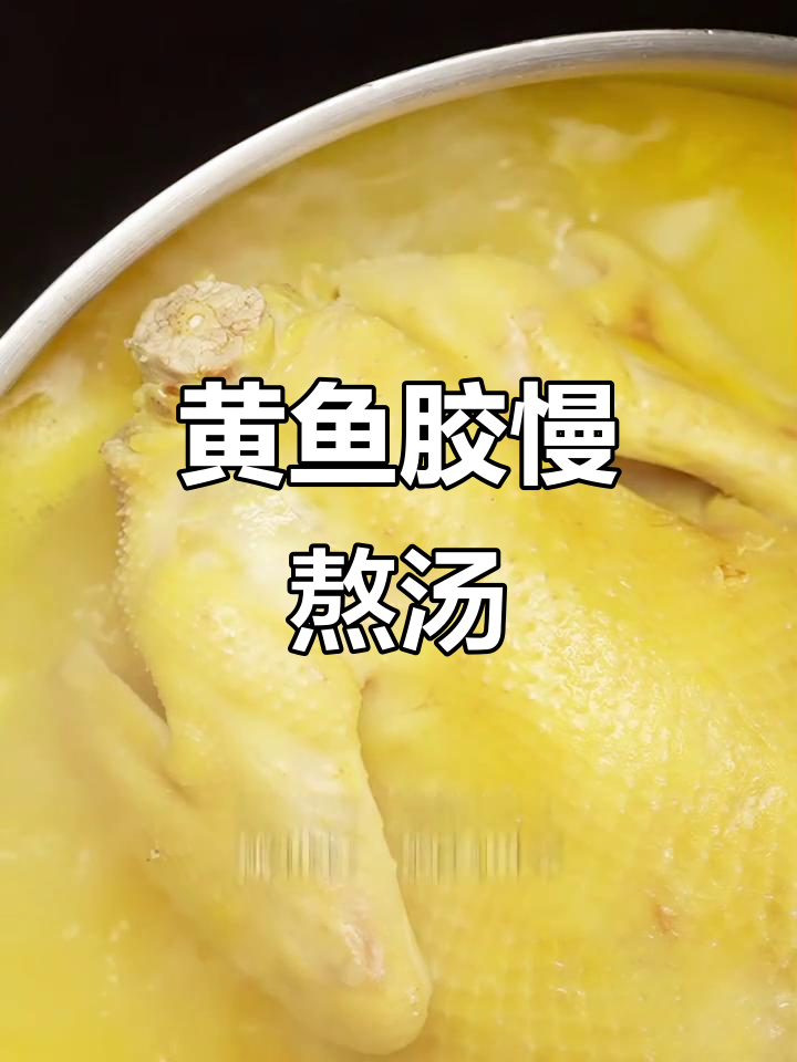 856公里外美味,深海黄鱼胶慢炖,鲜美无比!