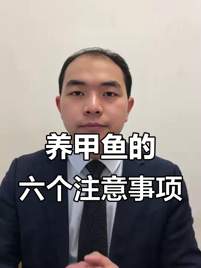 甲鱼养殖六大禁忌,牢记这些避免失误