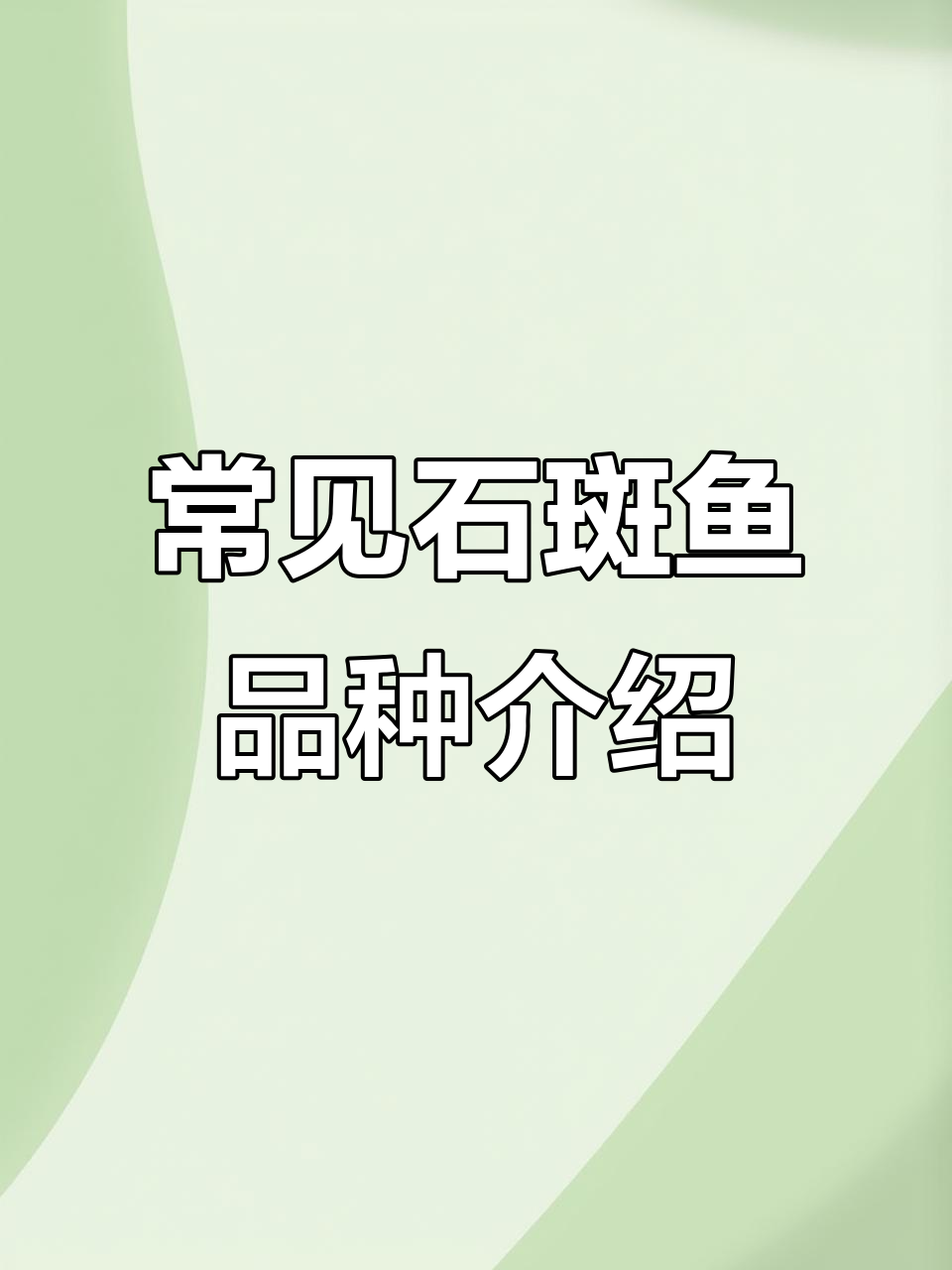 石斑鱼养殖常见品种全解析，图解不同石斑鱼的特性与养护技巧