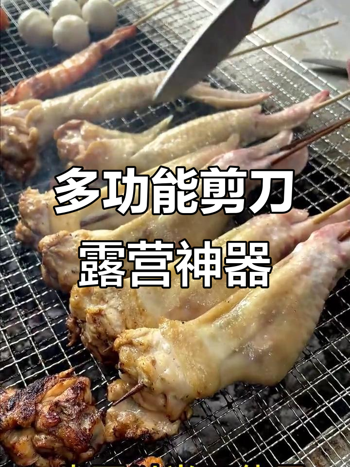 户外烧烤必备:多功能剪刀轻松剪鸡翅,骨架一分为二