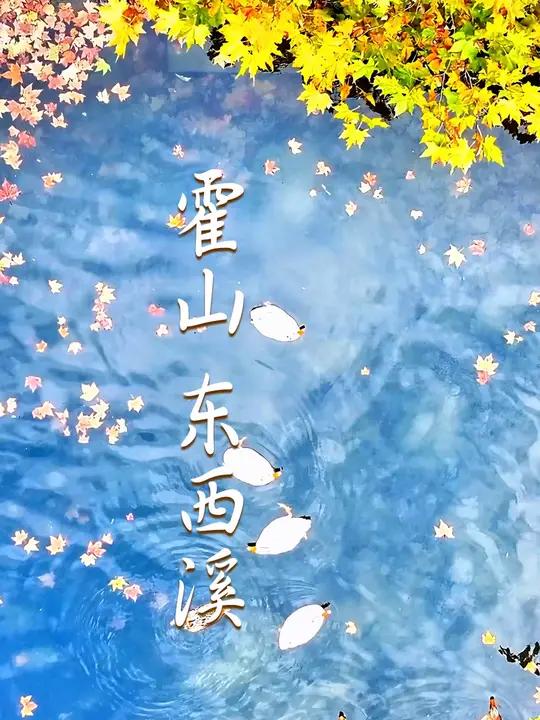 霍山东西溪乡,河面上群鸭自由嬉戏,宛若一幅水彩画。(人民网 郭昊)安徽封面