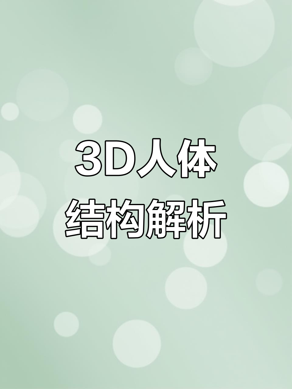 3D人体模型:从骨骼到器官,一步步揭秘身体奥秘