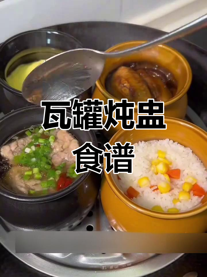 瓦罐炖盅家常菜,营养美味一学就会
