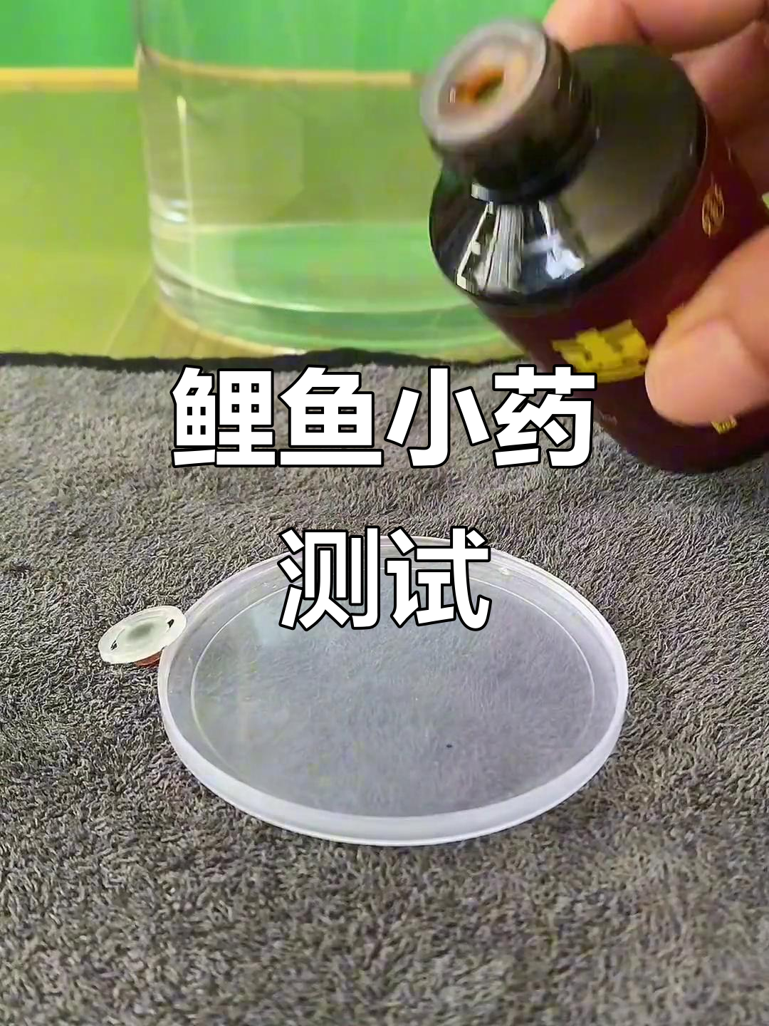 鲤鱼诱食剂大揭秘:甜枣与红薯完美结合,钓获满满