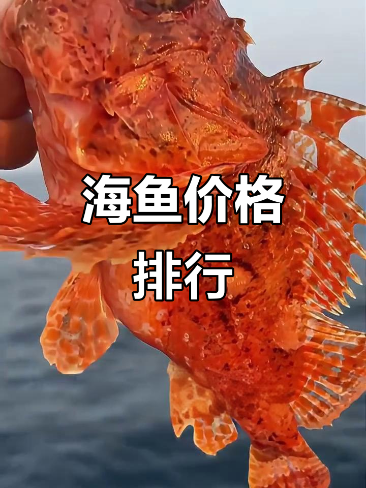 24种常见海鱼价格大揭秘，从低到高你能接受吗？