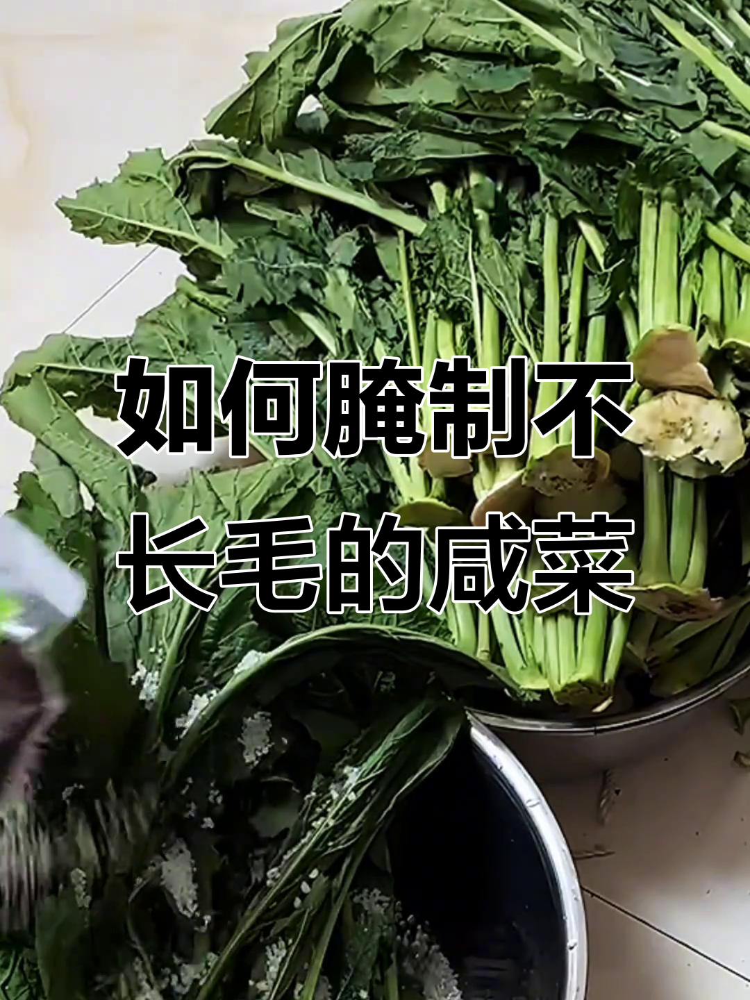 东北芥菜樱子腌法大揭秘,翠绿又不会发霉