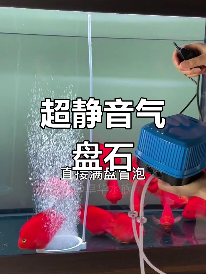 静音高效鱼缸增氧泵