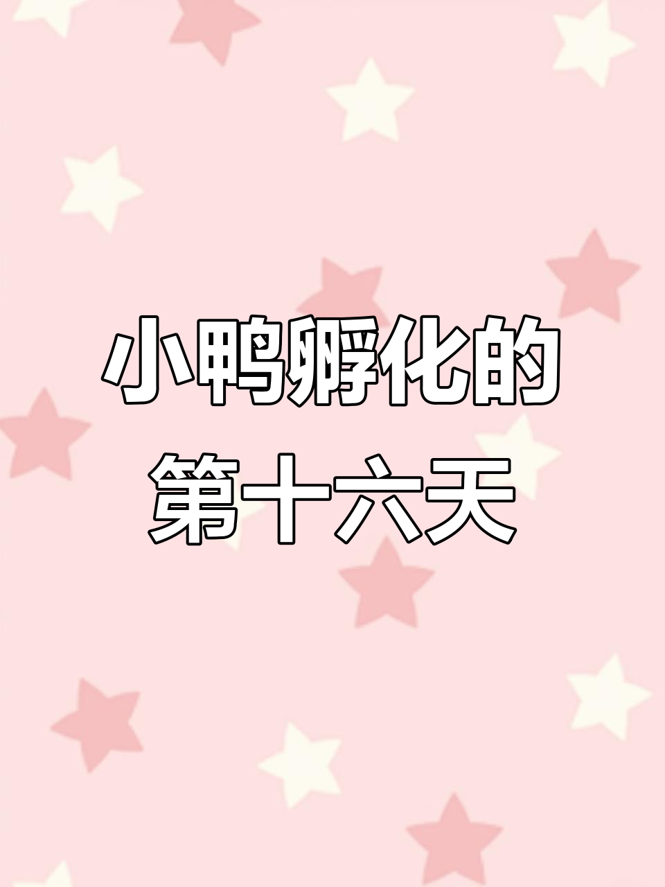 孵化小鸭子第16天,鹅蛋壳下的惊喜变化