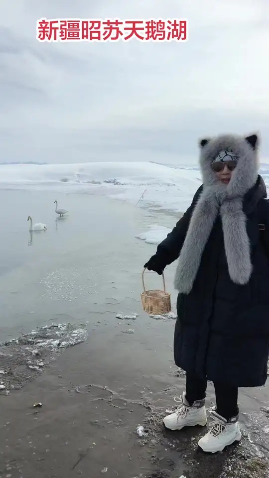 新疆昭苏天鹅湖