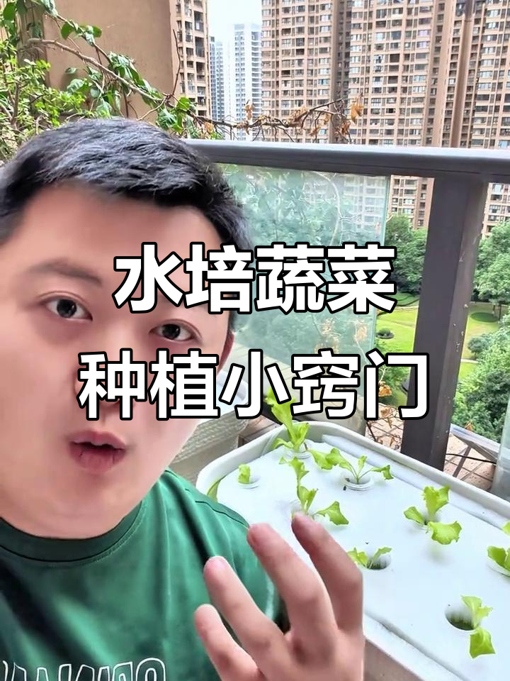 水培种菜技巧大公开:如何正确添加营养液与测试EC值