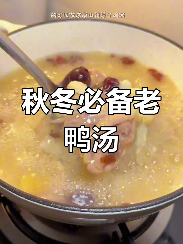 秋季滋补鸭汤做法,营养满分