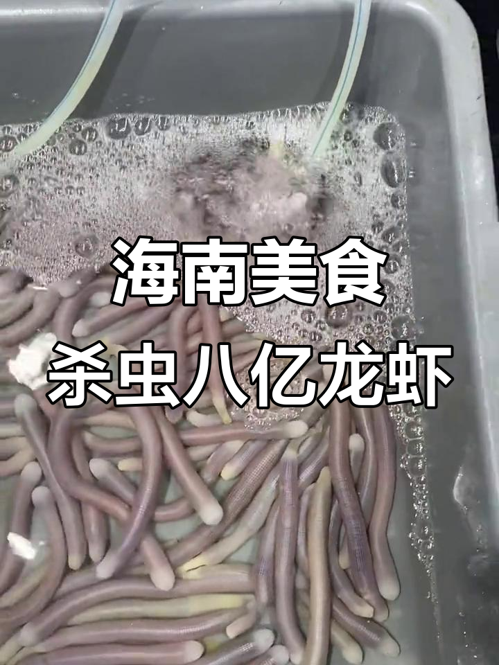 海南海鲜大揭秘,龙虾、半斤虫放一网打尽