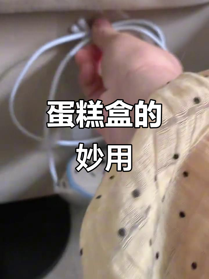 蛋糕盒变废为宝,7种实用创意改造,省钱又环保!