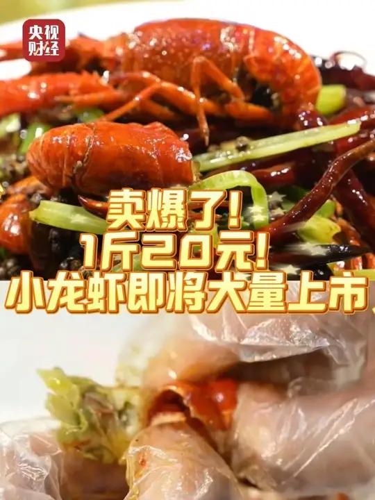 卖爆了!小龙虾1斤20元!小龙虾即将大量上市你尝鲜了吗?
