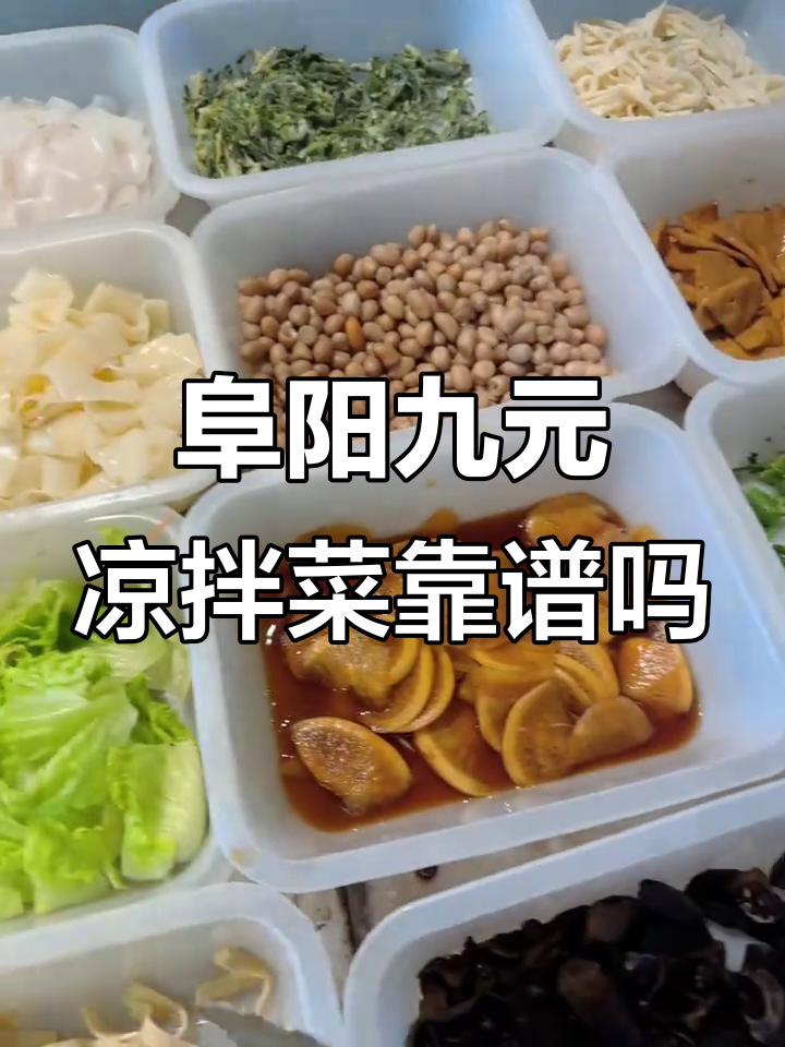 阜阳美食大揭秘：九块钱一斤的凉拌菜，值不值？