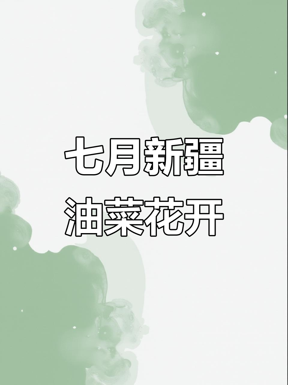 新疆七月的油菜花,美得让人心醉