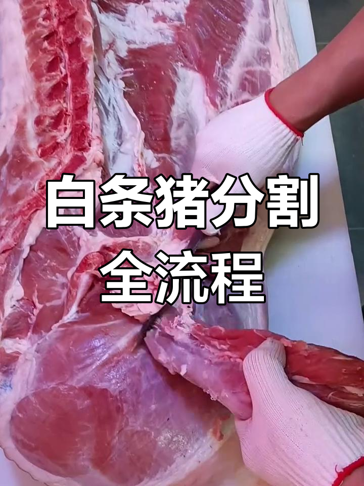 猪肉分割技巧大揭秘,轻松掌握白条肉剔骨全过程