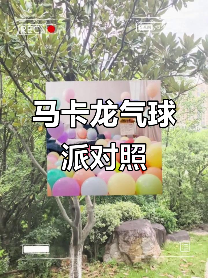 儿童生日派对气球装饰,马卡龙色氛围布置必备