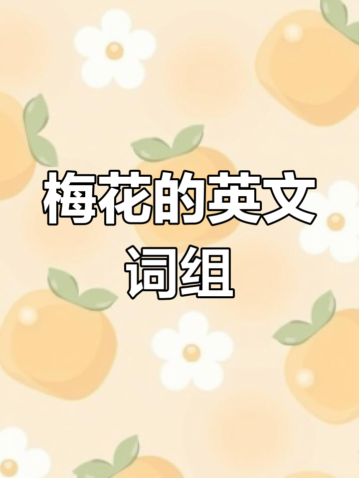 南京梅花山之旅:探秘梅花的英语表达