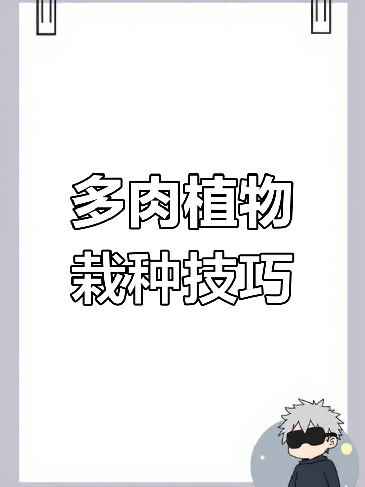 网购多肉到手后如何处理?从拆包到上盆全流程解析