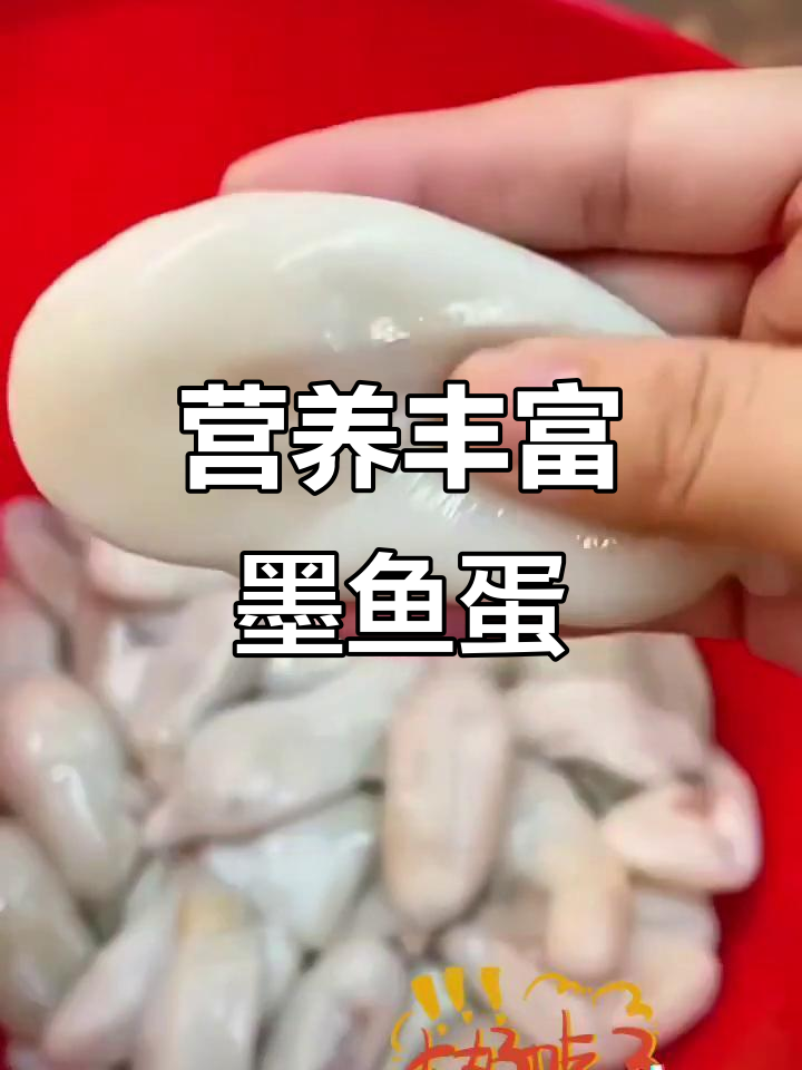 墨鱼蛋鲜香四溢,肉质紧实带膏黄,清蒸红烧都美味