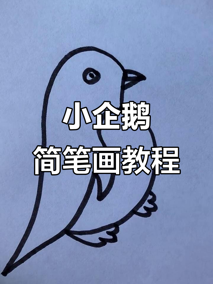 轻松学画小企鹅,步骤简单又有趣
