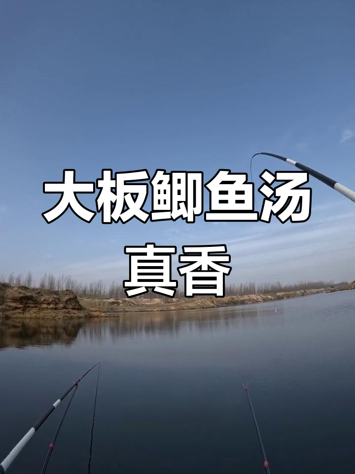 钓鱼不成,锚鱼也能大丰收