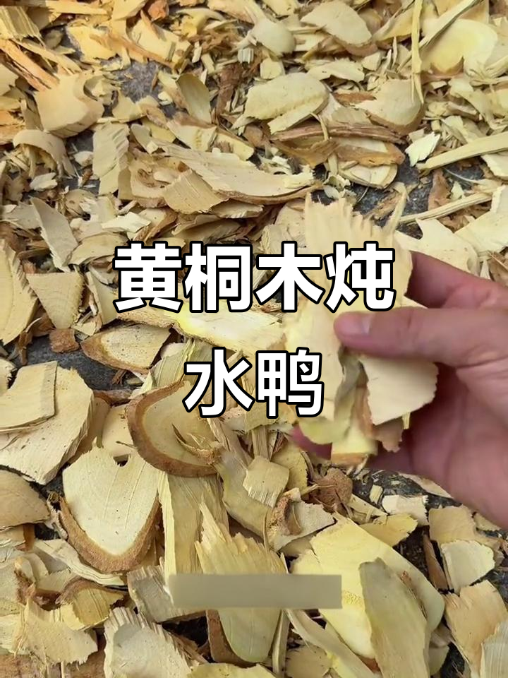 黄桐木水鸭汤:大自然的馈赠与中草药之美