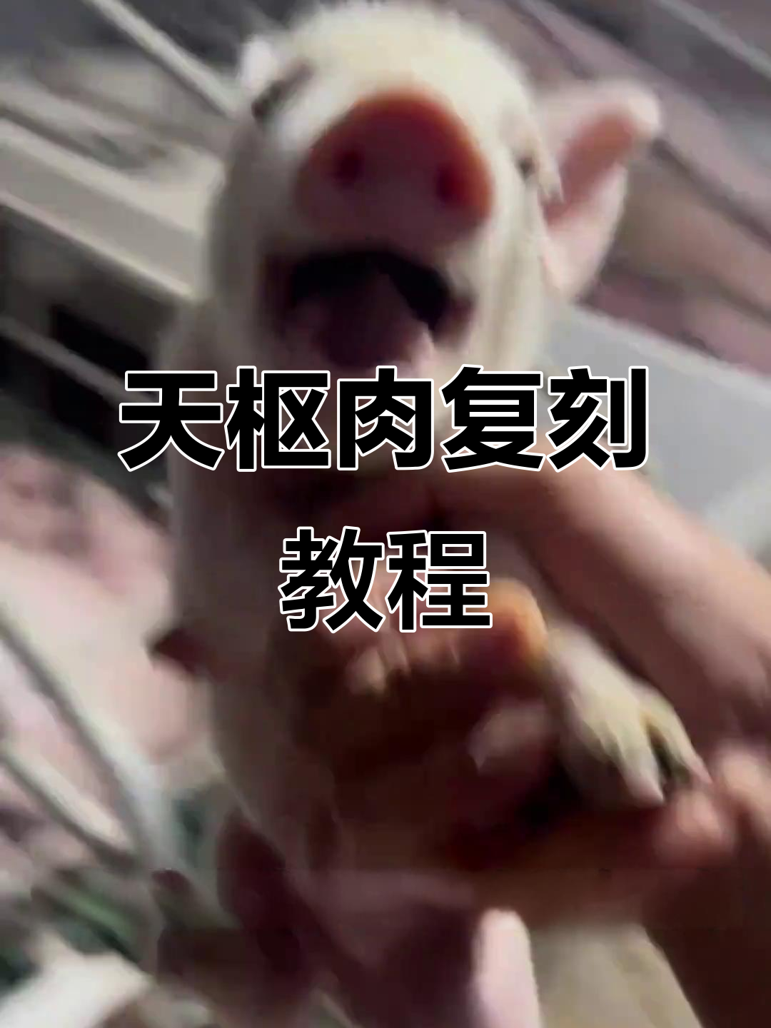 复刻天枢肉,东坡肉的完美替代做法