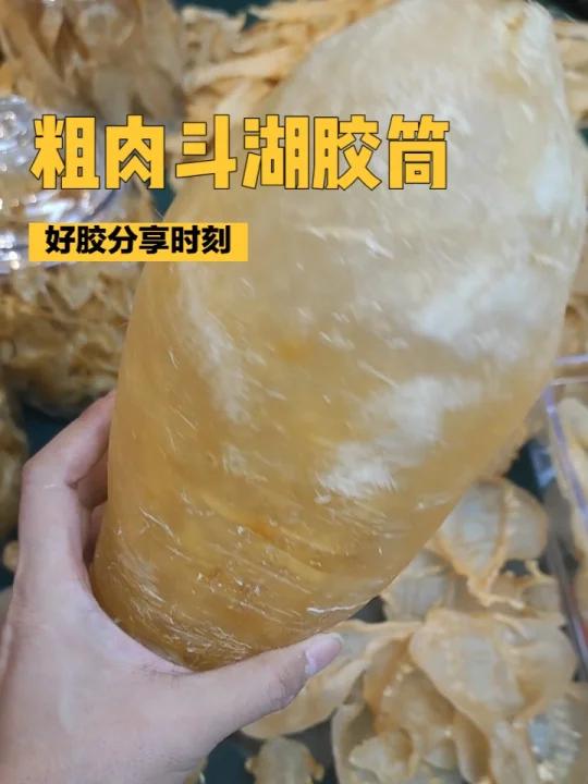 好胶分享:粗肉斗湖胶筒