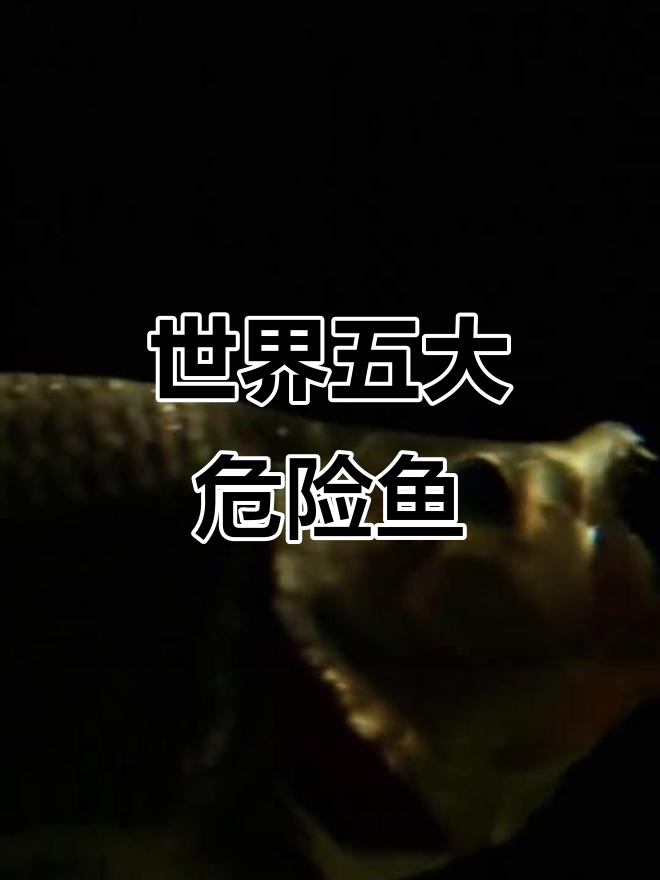 世界上最危险的五种鱼类,最后一种竟是绝顶杀手!