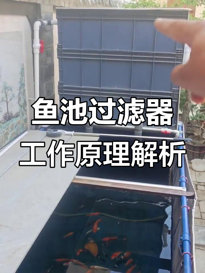 鱼池过滤系统全解析:从吸水到循环的原理