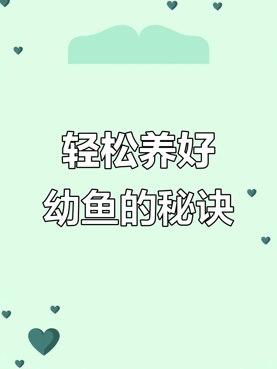 简单又省心的幼鱼饲养技巧,水质净化全靠这些小工具