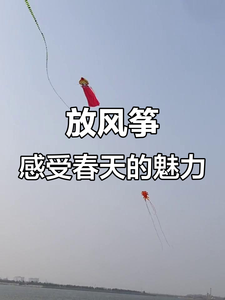春日风筝放飞,8米软体金鱼风筝带你畅享蓝天