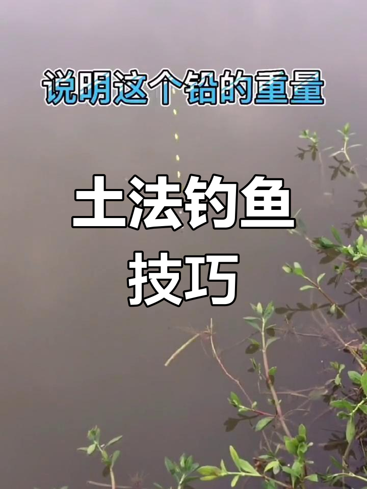 七星漂调钓技巧,轻松掌握鲫鱼垂钓