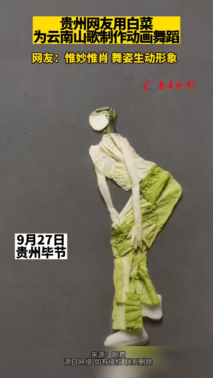 贵州网友用白菜 为云南山歌制作动画舞蹈 网友:惟妙惟肖