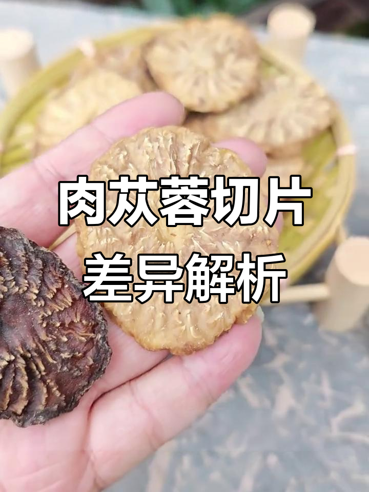 肉苁蓉干切片与鲜切片的区别,哪种更适合你?