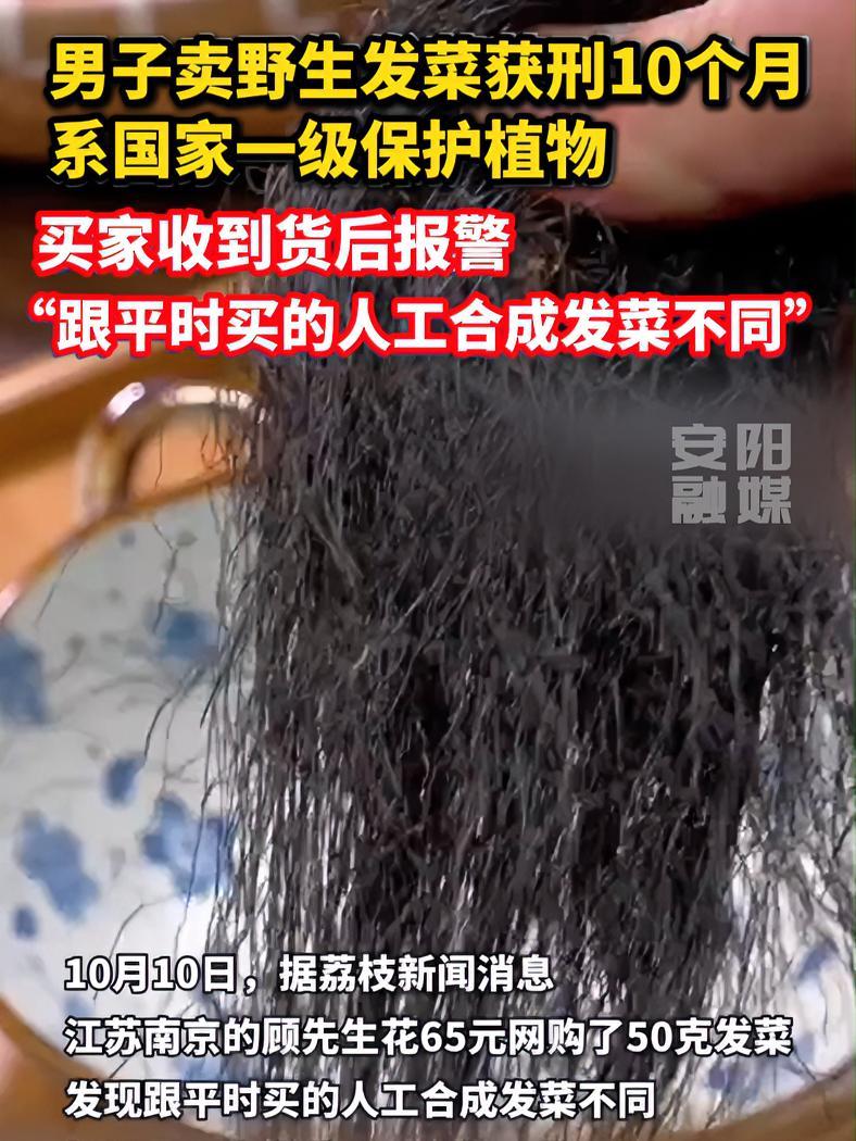 男子网售野生发菜获刑,买家收到货后发现跟平时购买的人工合成发菜不太一样于是报警。(来源:极