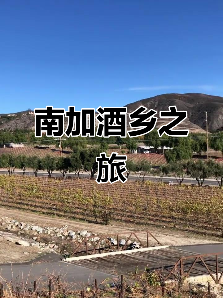 南加州葡萄酒产区,尽享优雅与宁静