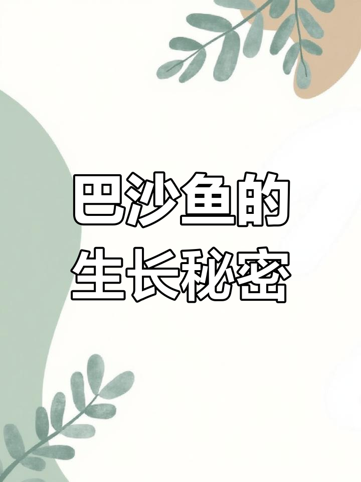 巴沙鱼真的是吃垃圾长大的?真相揭秘