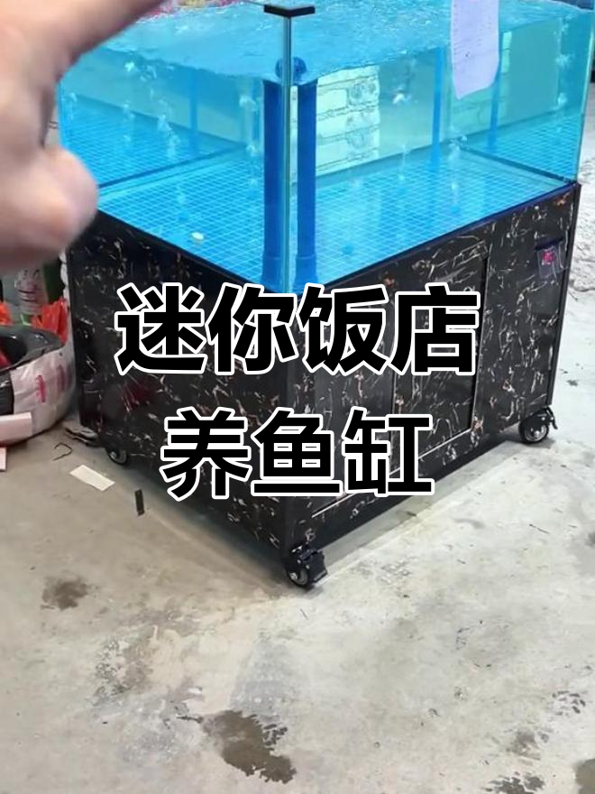 小型饭店养鱼缸定制设计,自动过滤循环系统