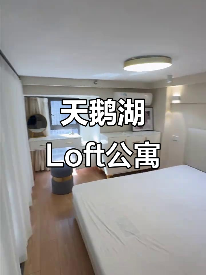 合肥政务区天鹅湖畔精装公寓,拎包入住,超舒适空间