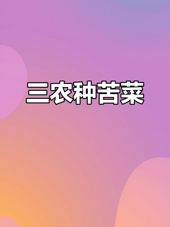 苦菜野菜的王者,三农种植的秘密